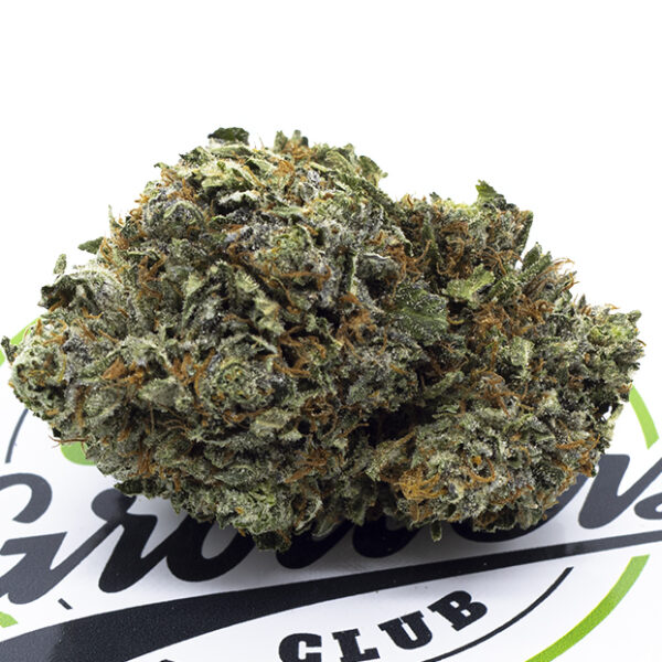 Gorilla Glue - Image 2